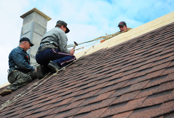 Best Roof Maintenance Services  in Lawrence, KS
